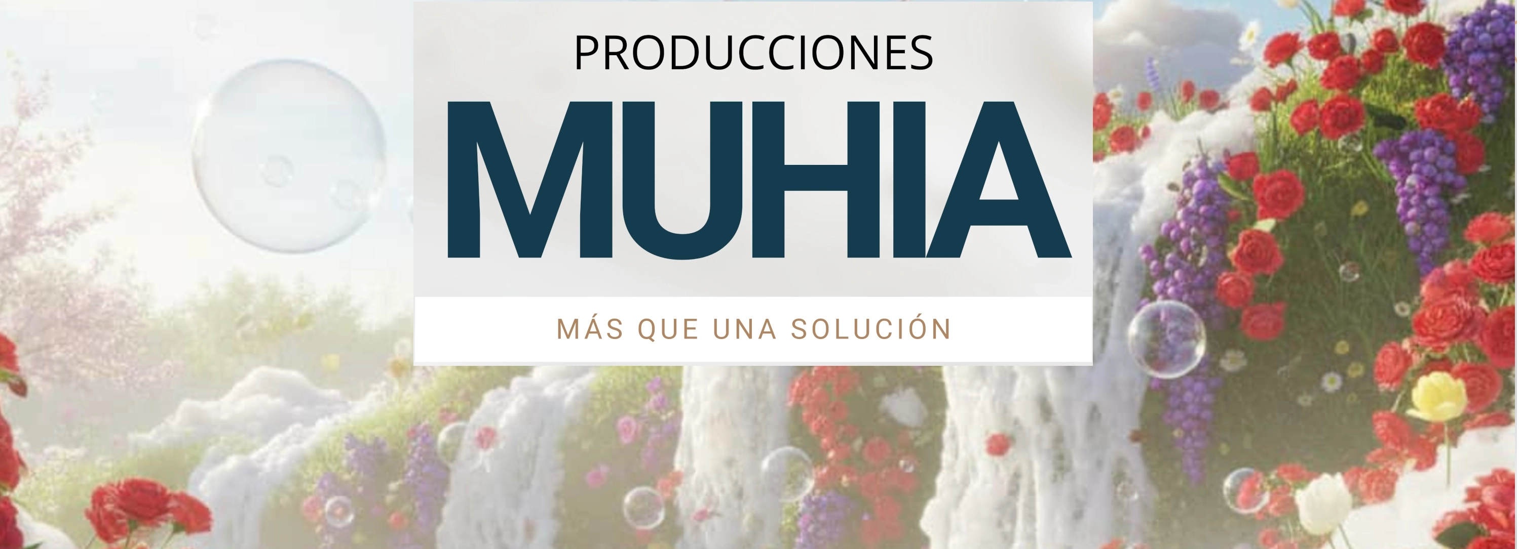 Nuevos productos